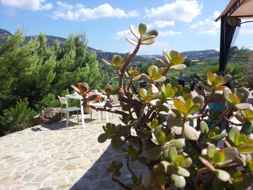 La Di Segesta Calatafimi